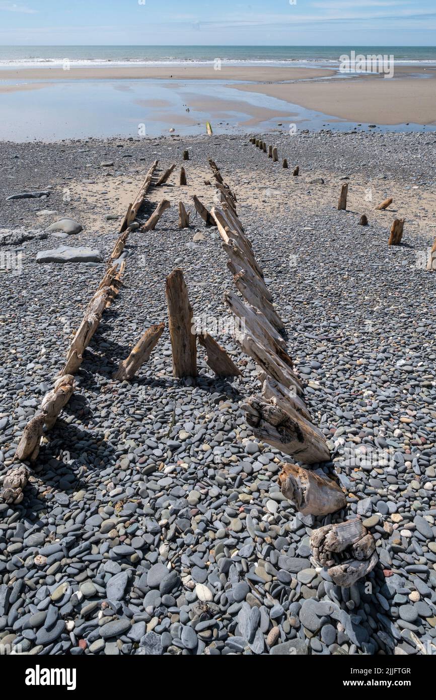 Die Holzrippen eines alten Schiffes, das am Strand von Borth, Ceredigion, Wales, halb begraben wurde Stockfoto