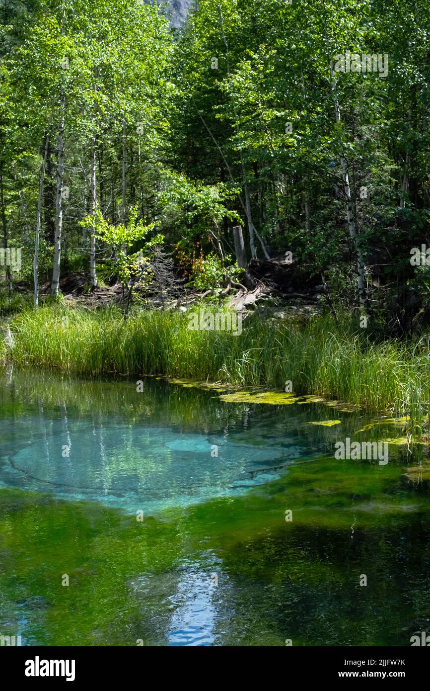 Geyser See mit türkisfarbenen Thermalquellen, Nahaufnahme. Märchenhafter Bergsee. Stockfoto