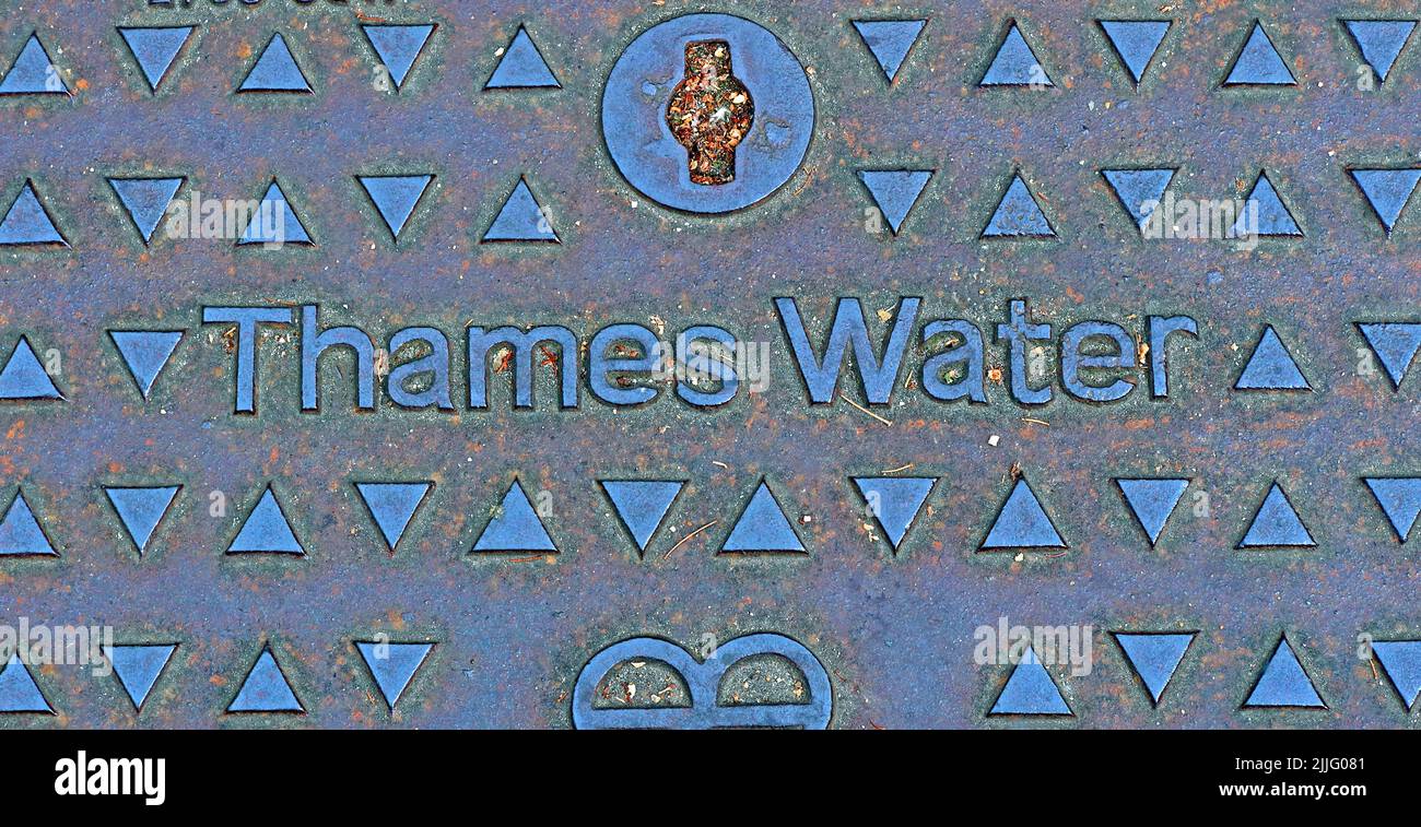 Gusseisengitter mit Wasserprägung auf der Themse, London, England, Großbritannien Stockfoto