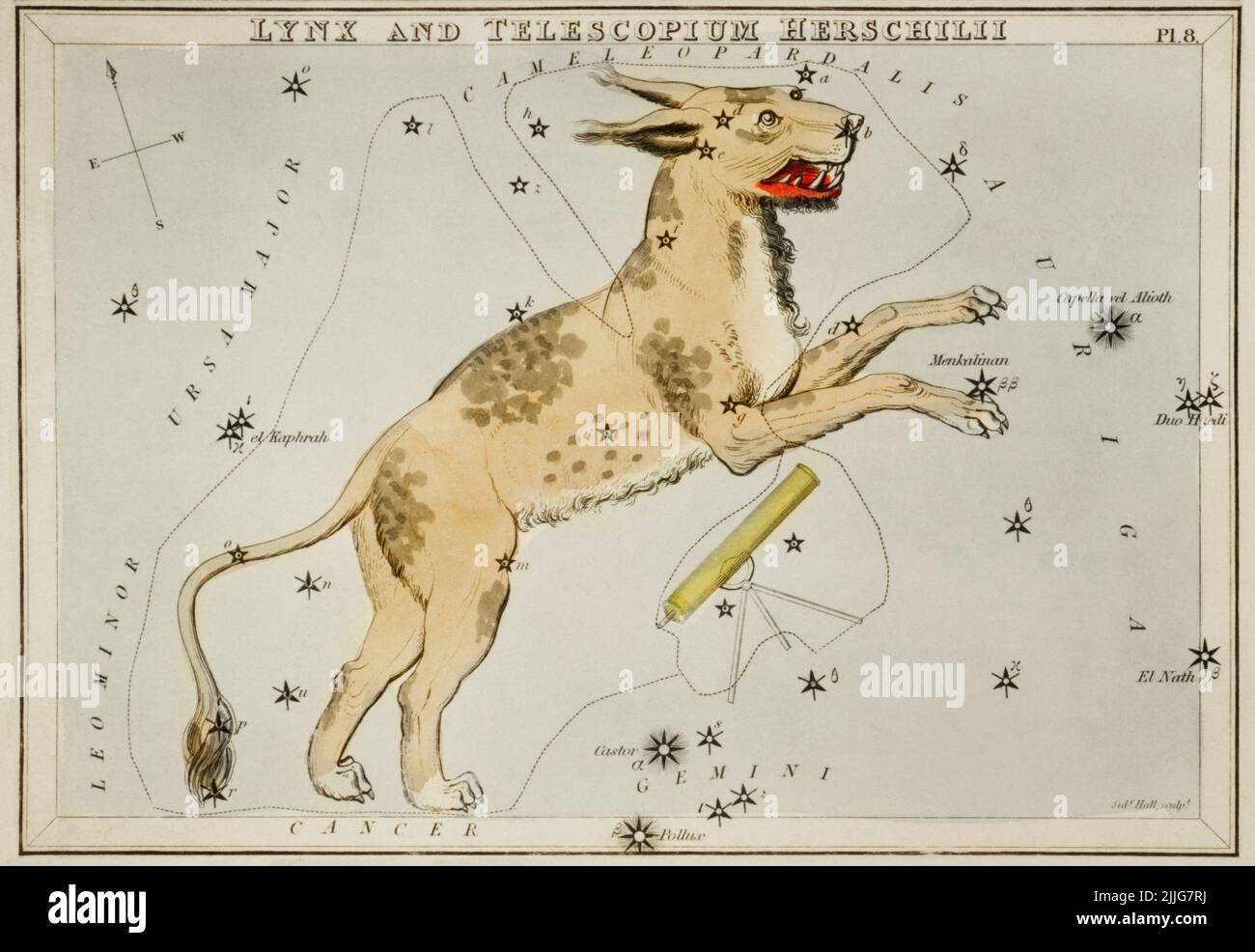 Astronomische Kartendarstellung von Lynx und dem Teleskop Herschilii, 1831, Sidney Hall Stockfoto