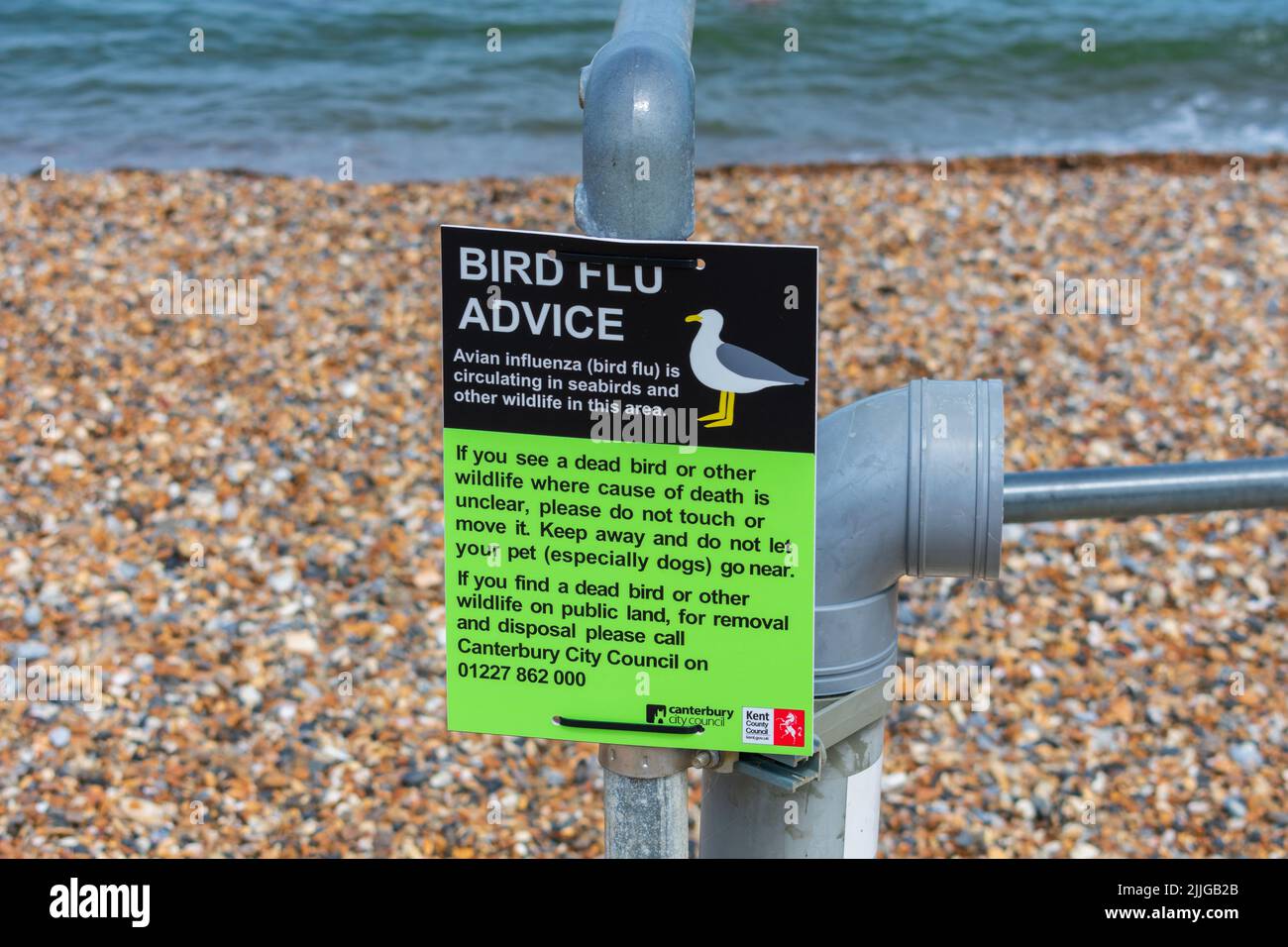 Herne Bay, Kent, Großbritannien: Neu errichtete Vogelgrippe-Hinweisschilder nach 104 bestätigten Fällen der Vogelgrippe (H5N1) im Vereinigten Königreich. Stockfoto