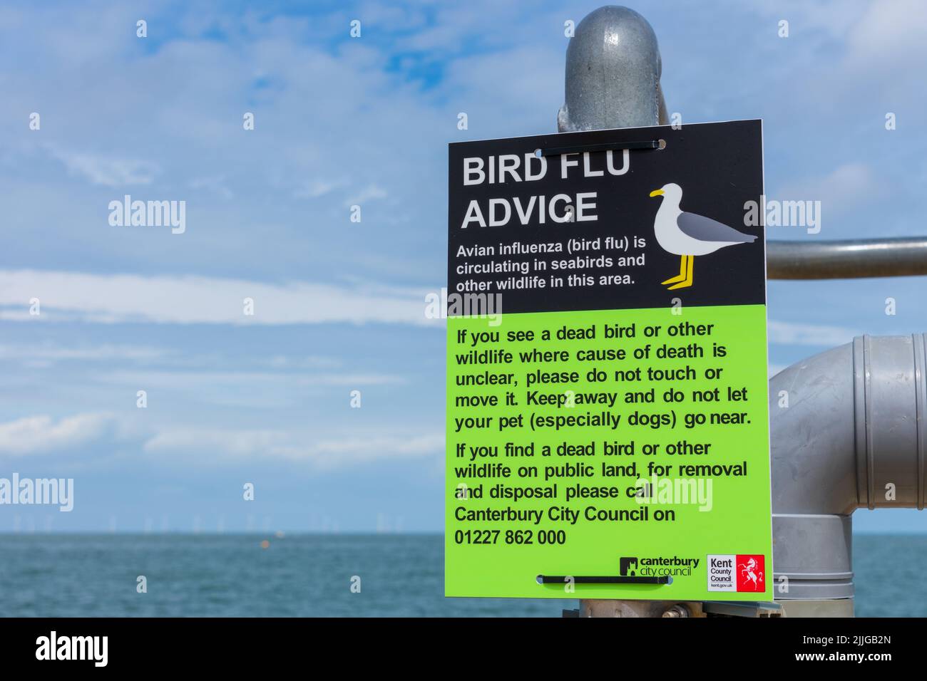 Herne Bay, Kent, Großbritannien: Neu errichtete Vogelgrippe-Hinweisschilder nach 104 bestätigten Fällen der Vogelgrippe (H5N1) im Vereinigten Königreich. Stockfoto