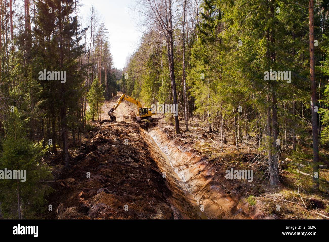 Sanierung eines Entwässerungsgrundes inmitten eines Waldes in Estland, Nordeuropa Stockfoto