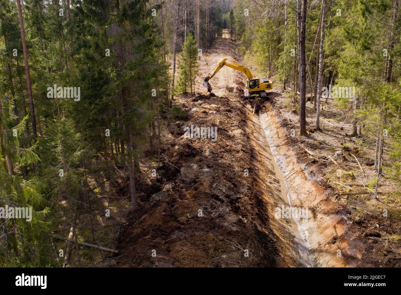 Sanierung eines Entwässerungsgrundes inmitten eines Waldes in Estland, Nordeuropa Stockfoto