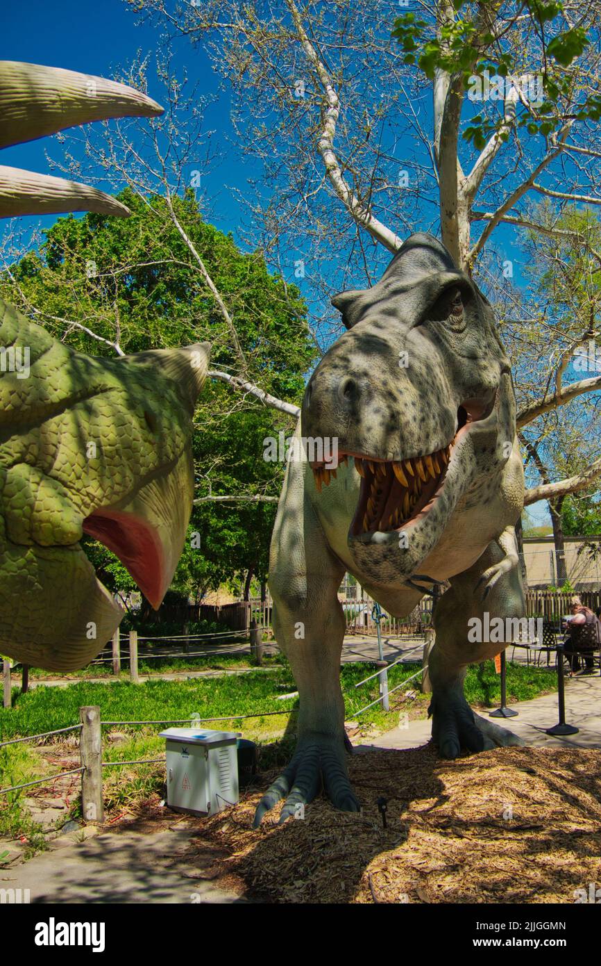 Eine animatronische Schlacht zwischen Raptor und Triceratops im Topeka Zoo und Conservation Center Stockfoto