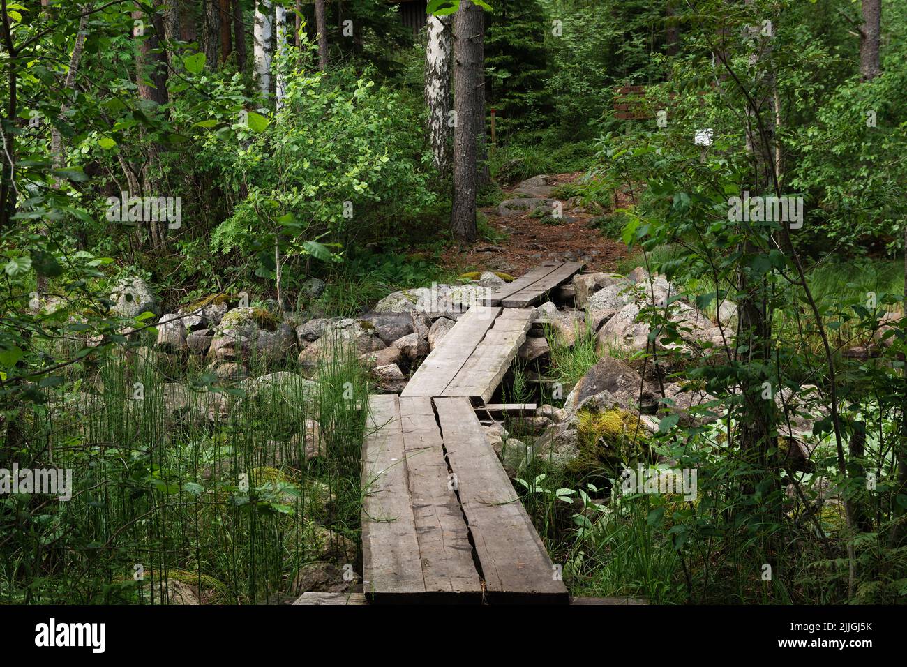 Holzweg über den Bach im Wald. Sorsakolu , Evo Wandergebiet in Hameenlinna, Finnland Stockfoto