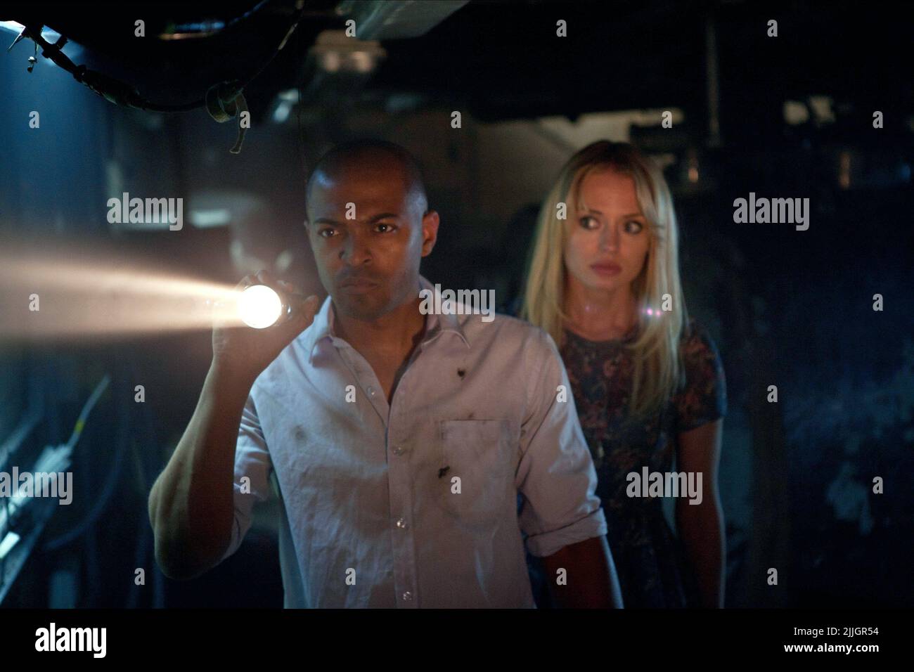 CLARKE, SCHELLFISCH, LAGERUNG 24, 2012 Stockfoto