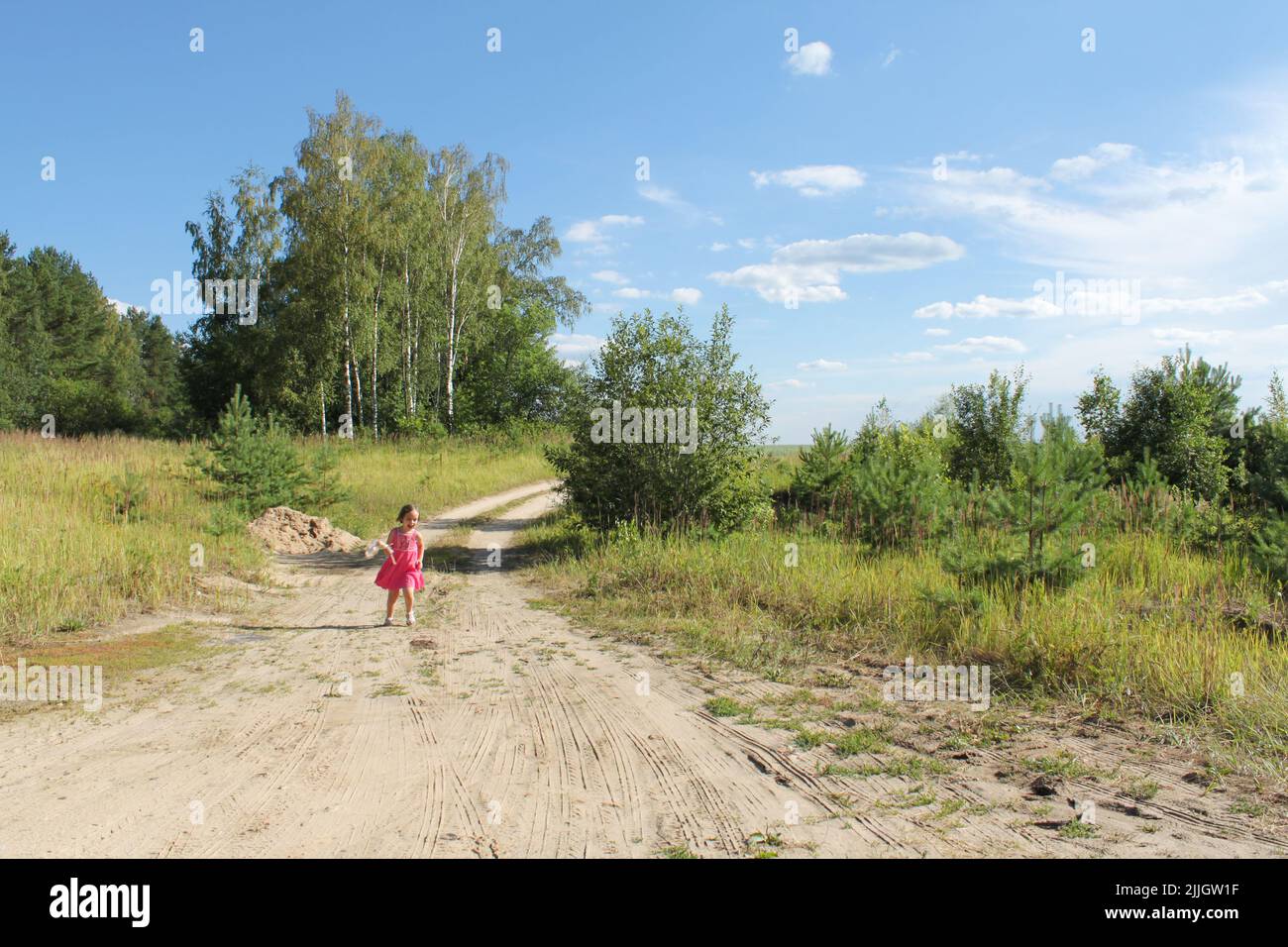 Cutie Kleinkind Mädchen in rosa Kleid mit einer Puppe läuft auf sandigen Weg zwischen Feldern und Wald. Speicherplatz kopieren. Stockfoto