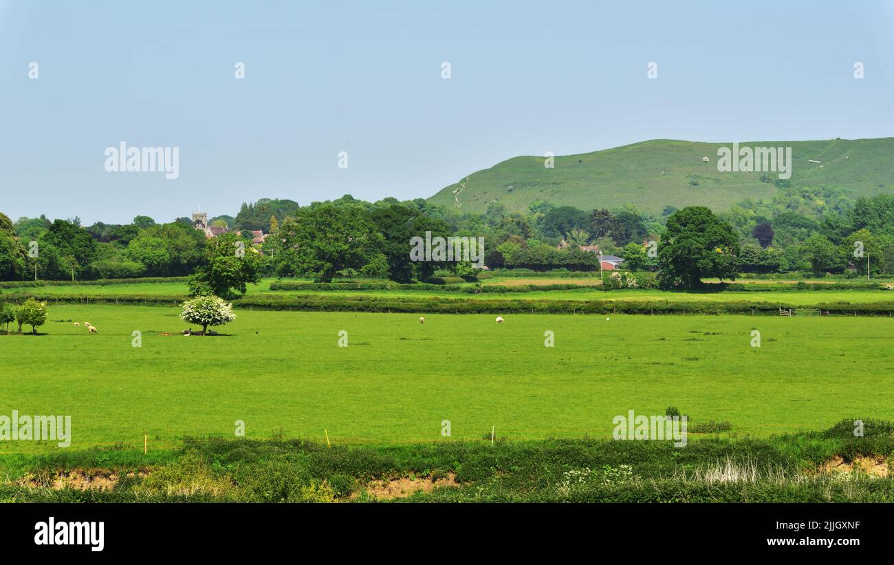 Hambledon Hill, in der Nähe von Blandford, Dorset, ist eine prähistorische Hügelfestung im Blackmore Valle. Es ist jetzt im Besitz des National Trust. Stockfoto
