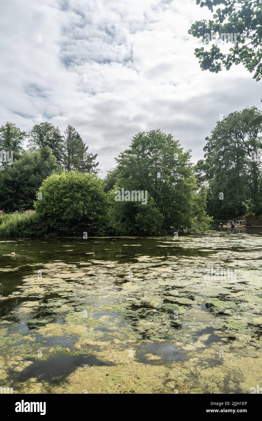 Staffordshire Lake Wasser mit Algen Sunny Day, Stoke-on-Trent, Großbritannien. Stockfoto