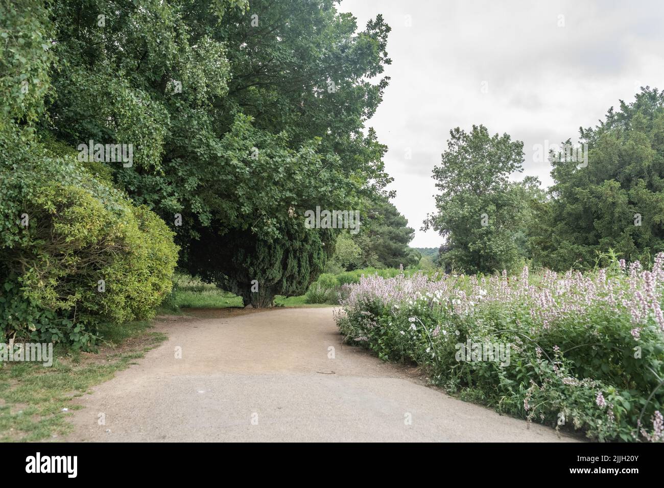 Staffordshire Lakeside Pathway sonnige Tageslandschaft, Stoke-on-Trent, Großbritannien Stockfoto