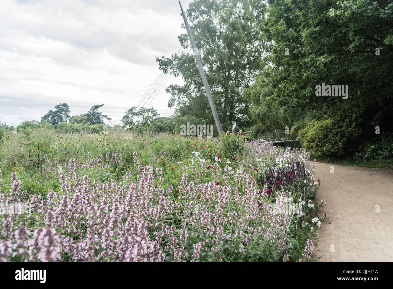 Staffordshire Lakeside Pathway sonnige Tageslandschaft, Stoke-on-Trent, Großbritannien Stockfoto