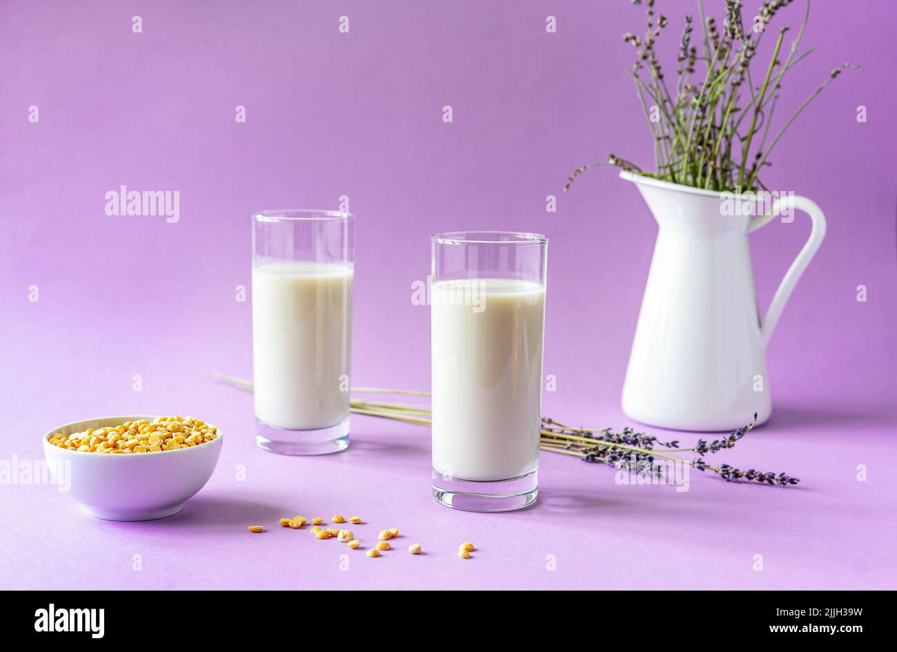 Vegane Erbsenmilch oder Lavendelmilch auf pflanzlicher Basis in Gläsern, Erbsensamen, weißer Krug mit Lavendel, gelbe Serviette. Lila Hintergrund. Speicherplatz kopieren Stockfoto