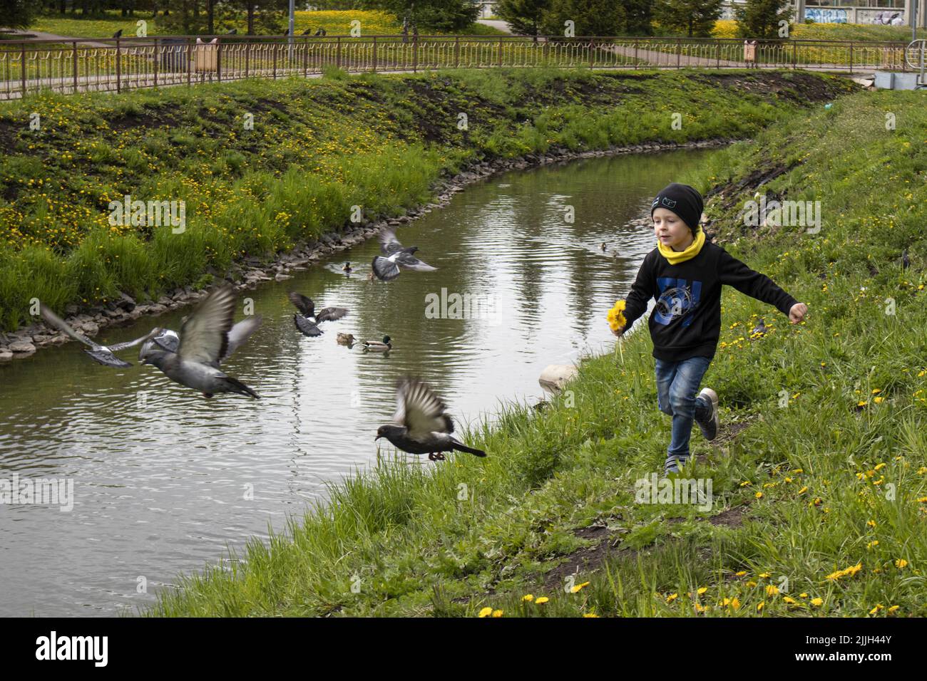 Ein Junge rennt durch ein Feld mit Blumen und Tauben fliegen in verschiedene Richtungen Stockfoto