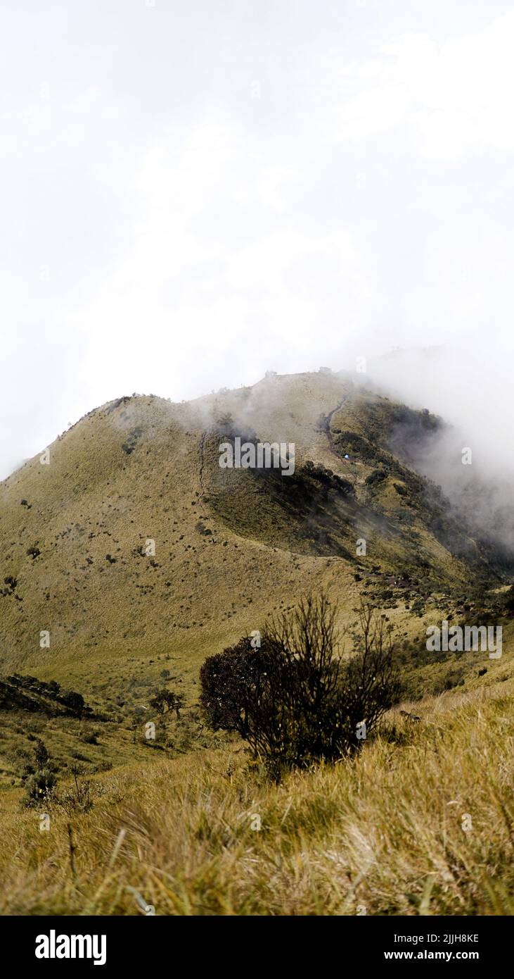 Schöne Aussicht auf den Mount Merbabu Stockfoto