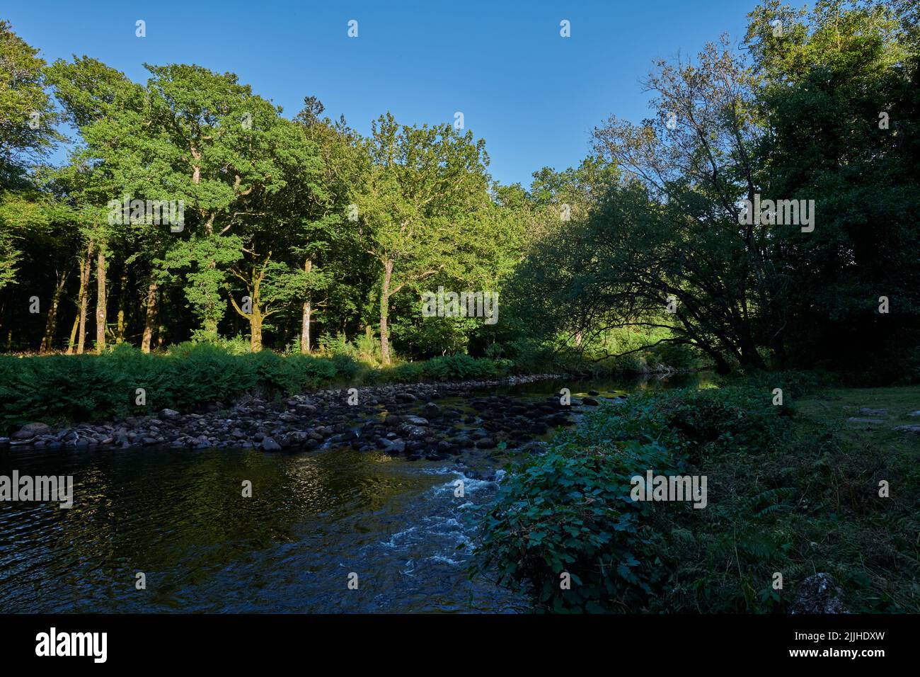 Dartmoor National Park, Großbritannien, 26 Jul, 2022, Klarer Himmel und warm am frühen Abend in Spitchwick. Kredit: Will Tudor/Alamy Live Nachrichten Stockfoto