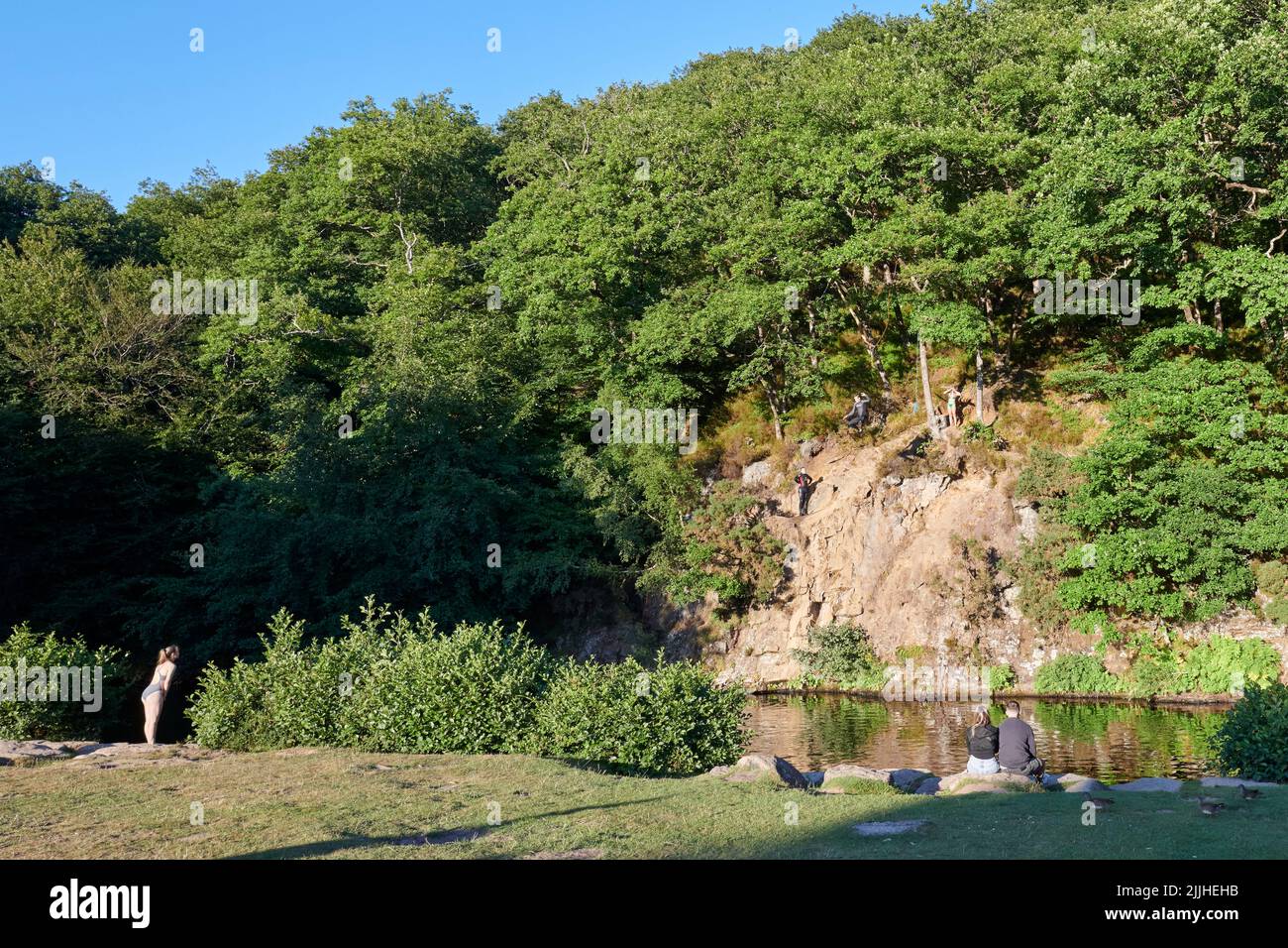 Dartmoor National Park, Großbritannien, 26 Jul, 2022, Klarer Himmel und warm am frühen Abend in Spitchwick. Kredit: Will Tudor/Alamy Live Nachrichten Stockfoto