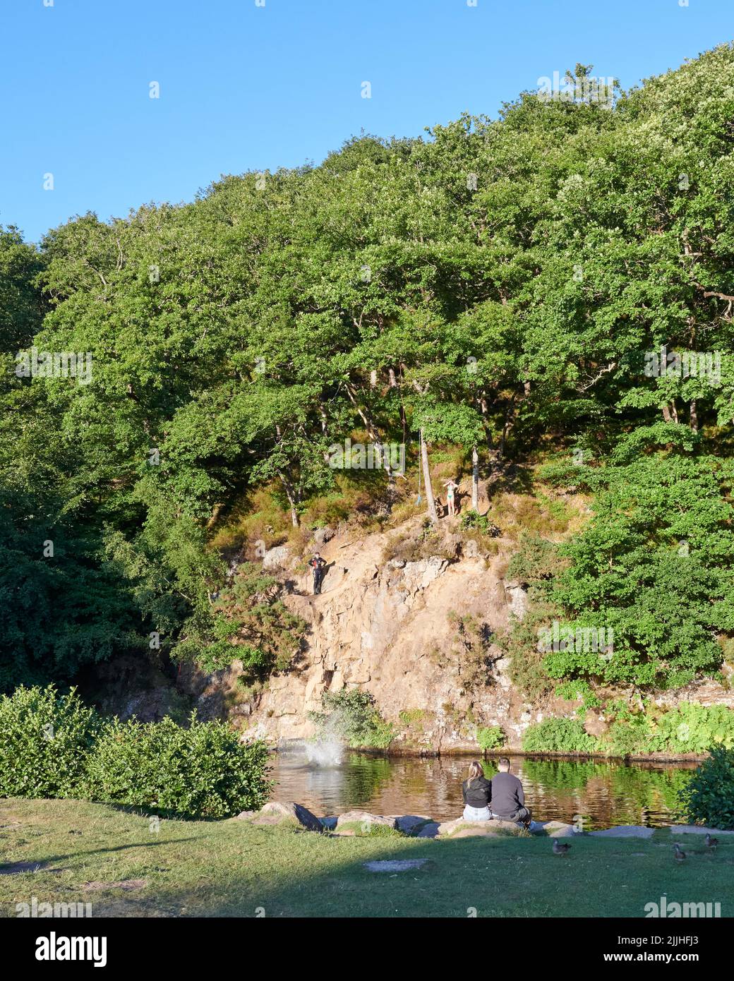 Dartmoor National Park, Großbritannien, 26 Jul, 2022, Klarer Himmel und warm am frühen Abend in Spitchwick. Kredit: Will Tudor/Alamy Live Nachrichten Stockfoto