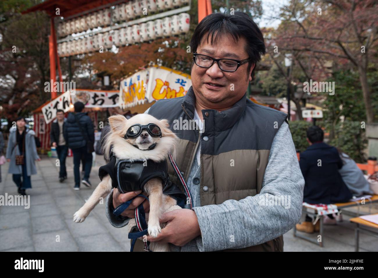 23.12.2017, Kyoto, Japan, Asien - Ein Mann in einem Park trägt seinen kleinen Chihuahua-Hund in den Armen, den er in einer Jacke und einer Motorradbrille gekleidet hat. Stockfoto