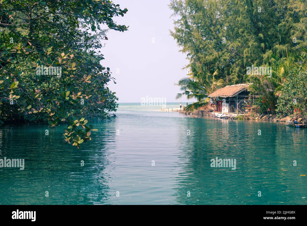 Auf einer Insel in Asien fließt tropischer Fluss ins Meer Stockfoto