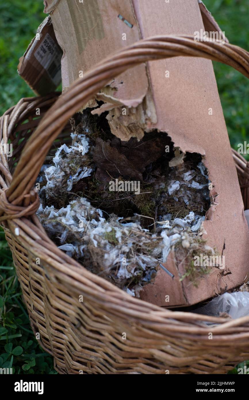 Verlassene Nest von wilden Maus oder Vogel gemacht. Winterhaus für unerwünschte Tiere. Stockfoto