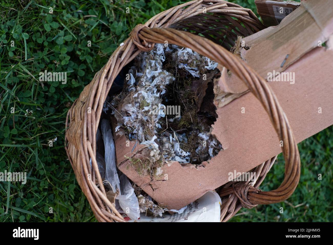 Verlassene Nest von wilden Maus oder Vogel gemacht. Winterhaus für unerwünschte Tiere. Stockfoto