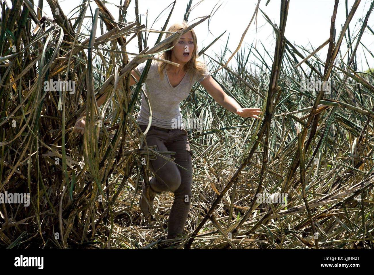 Emily blunt -Fotos und -Bildmaterial in hoher Auflösung – Alamy