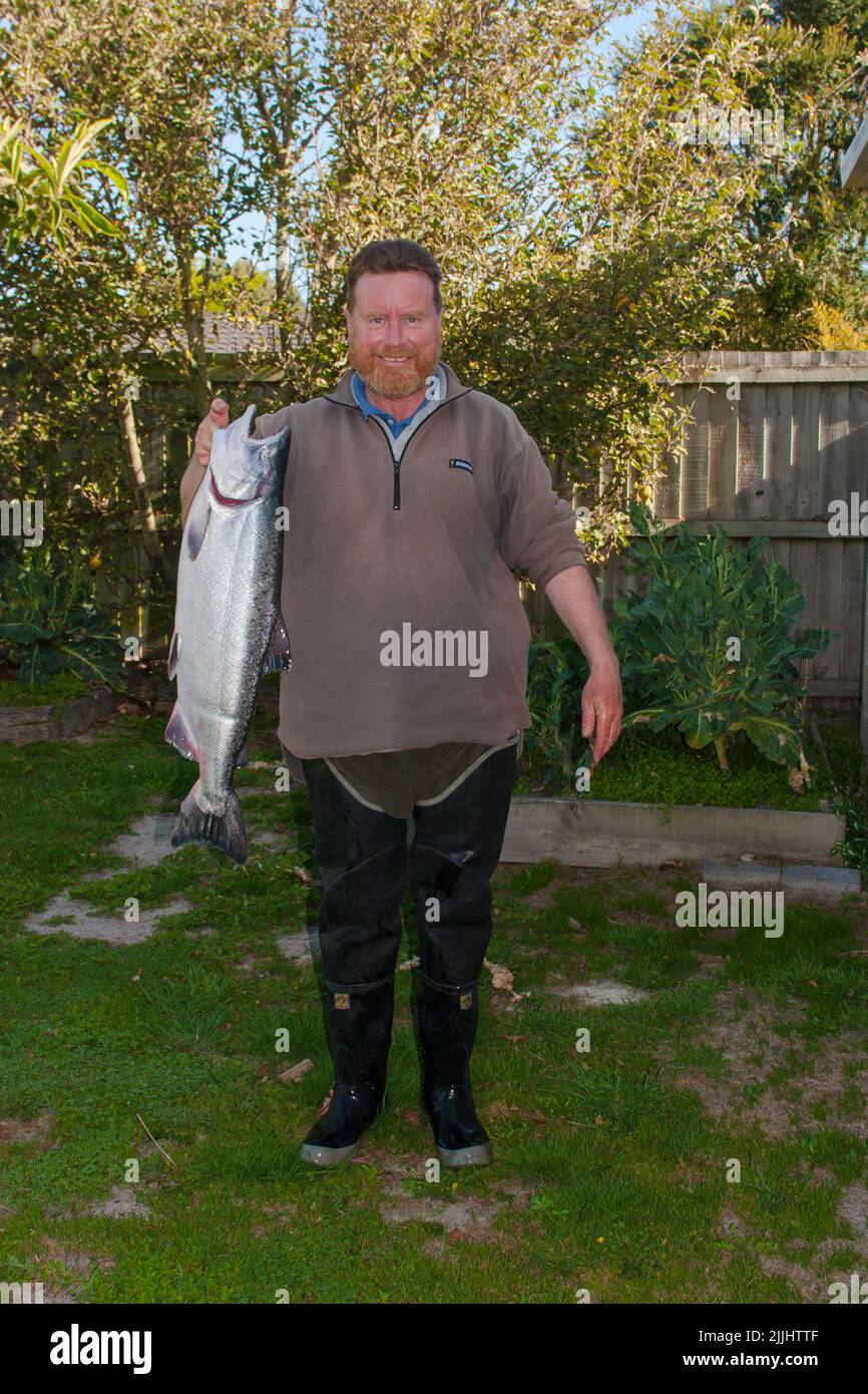 Ein Blick auf das Leben in Neuseeland. Frisch gefangener Wildlachs (Oncorhynchus tshawytscha): Chinook: Königslachs. Gefangen auf einem Spinner, Freizeitfischen. Stockfoto