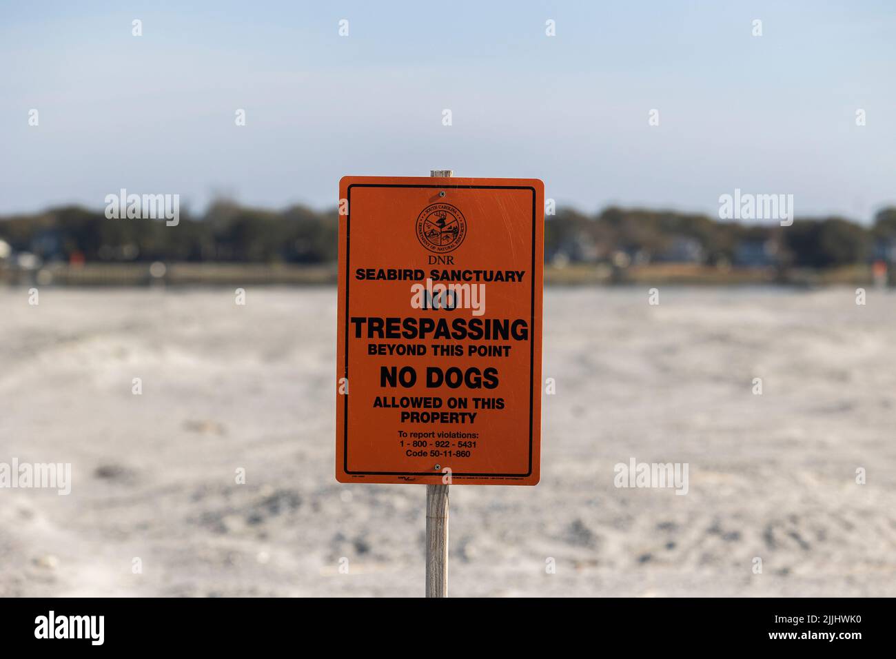 Hunde sind auf Crab Bank Island nicht erlaubt, da es sich um ein Vogelschutzgebiet handelt. Stockfoto