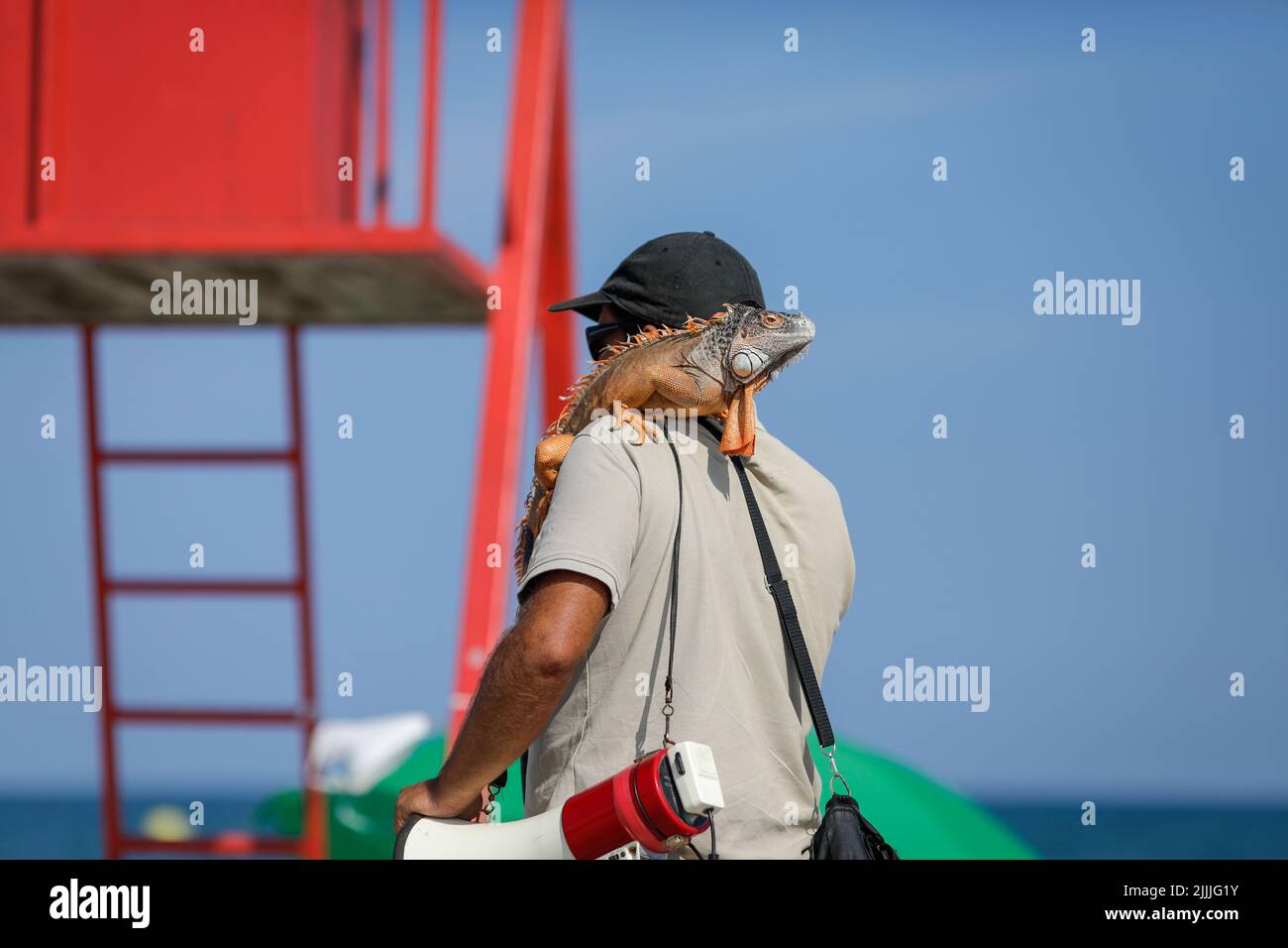 Details zur geringen Schärfentiefe (selektiver Fokus) mit einem Mann, der ein Leguan an einem rumänischen Strand trägt, damit die Touristen damit fotografieren können. Stockfoto