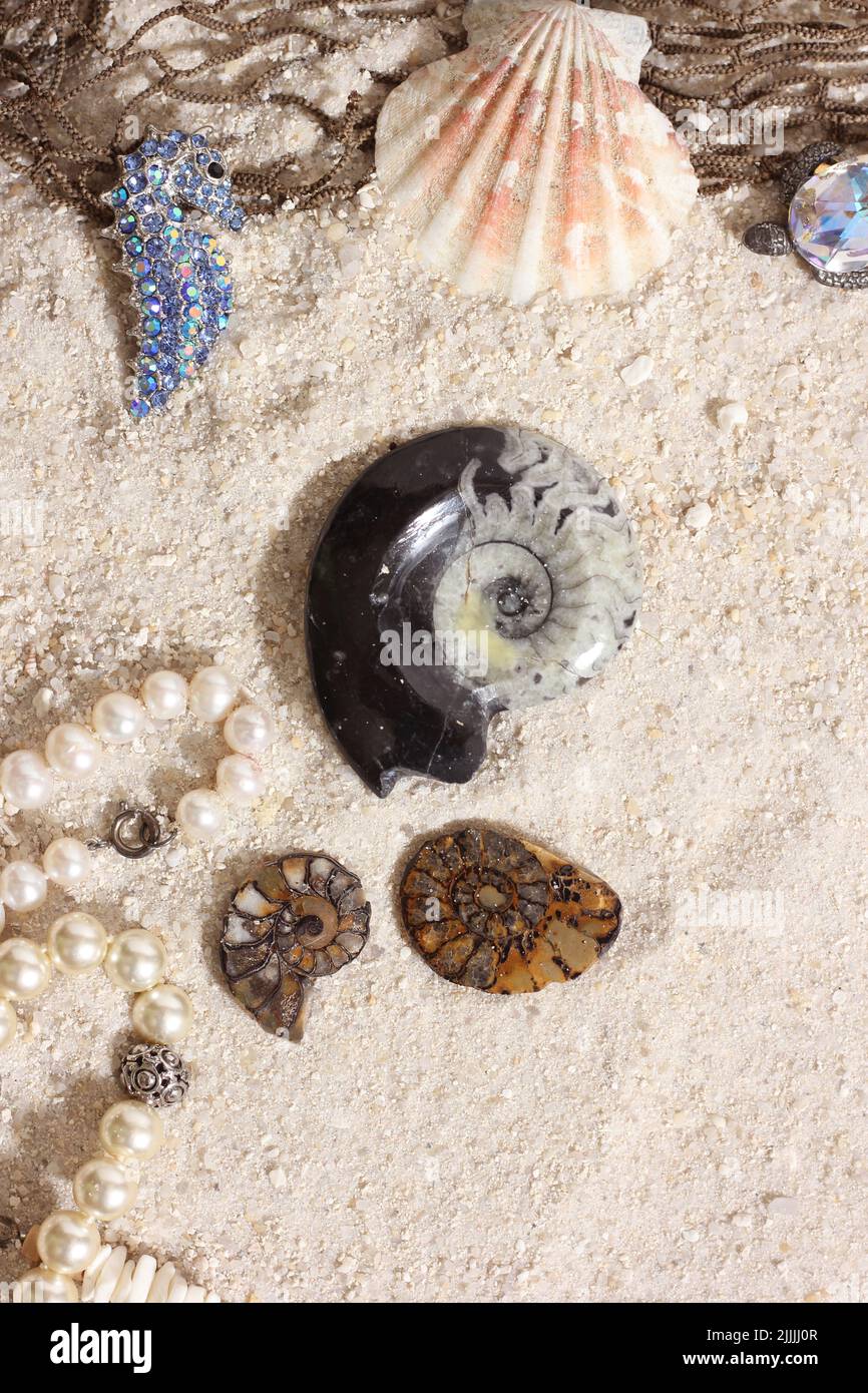 Alte Ammonit Fossile Exemplare auf Sand mit Perlen und Seepferd mit Juwelen Stockfoto