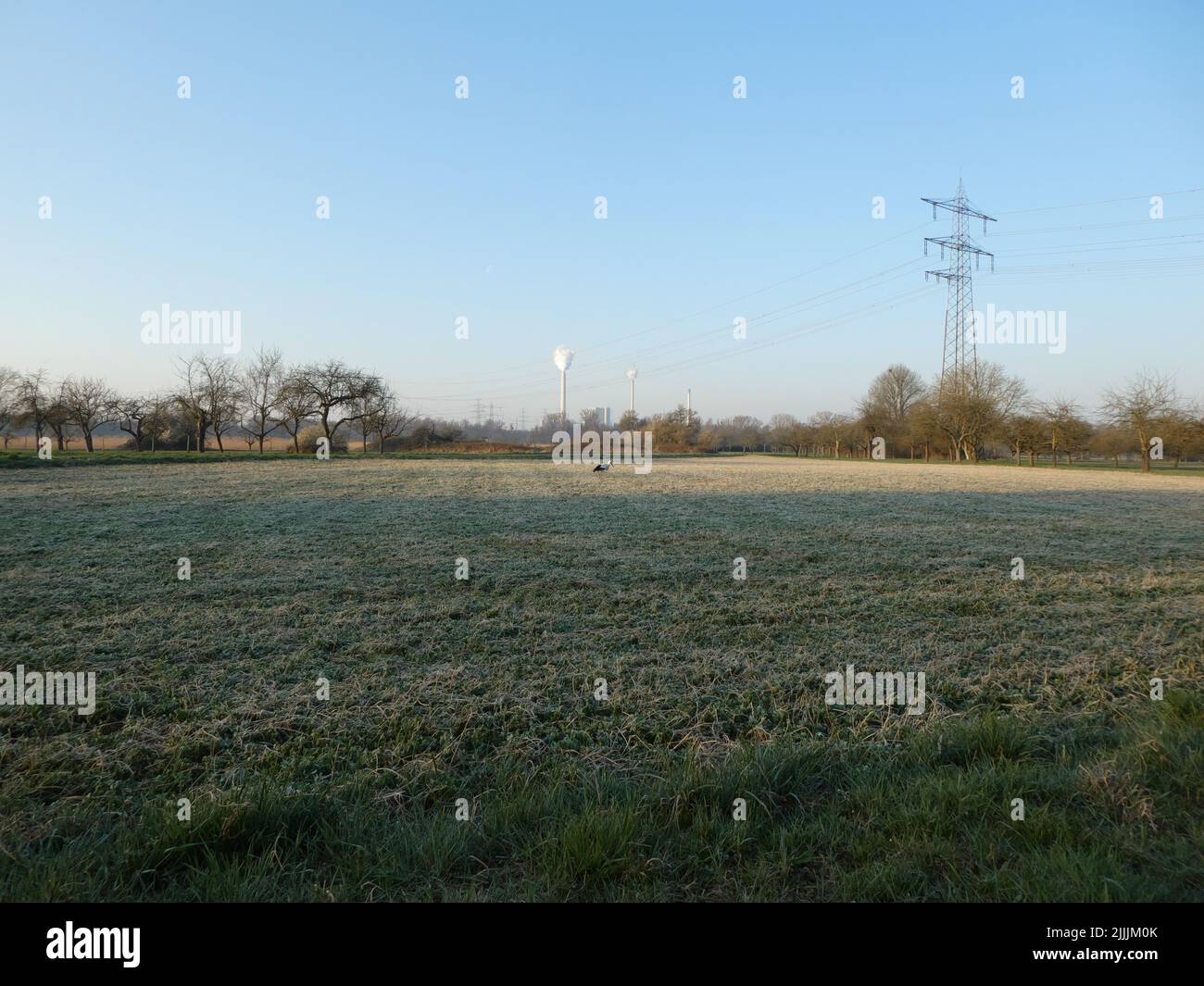 Frostige Landschaft in Wasserwiese mit Storch Stockfoto Frostige Landschaft in Wasserwiese mit Storch Stockfoto