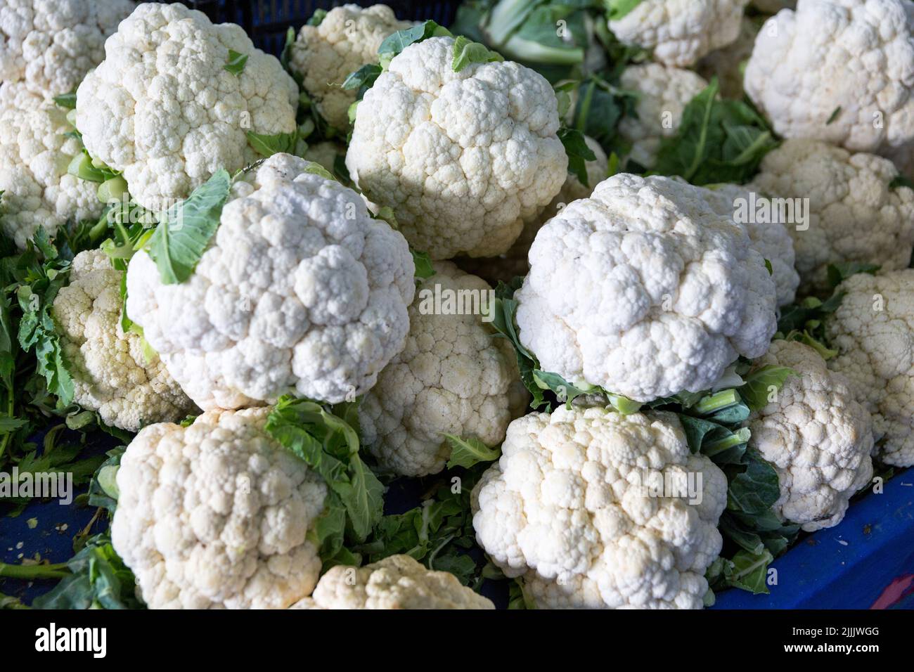 Blumenkohl auf dem Marktstand Stockfoto