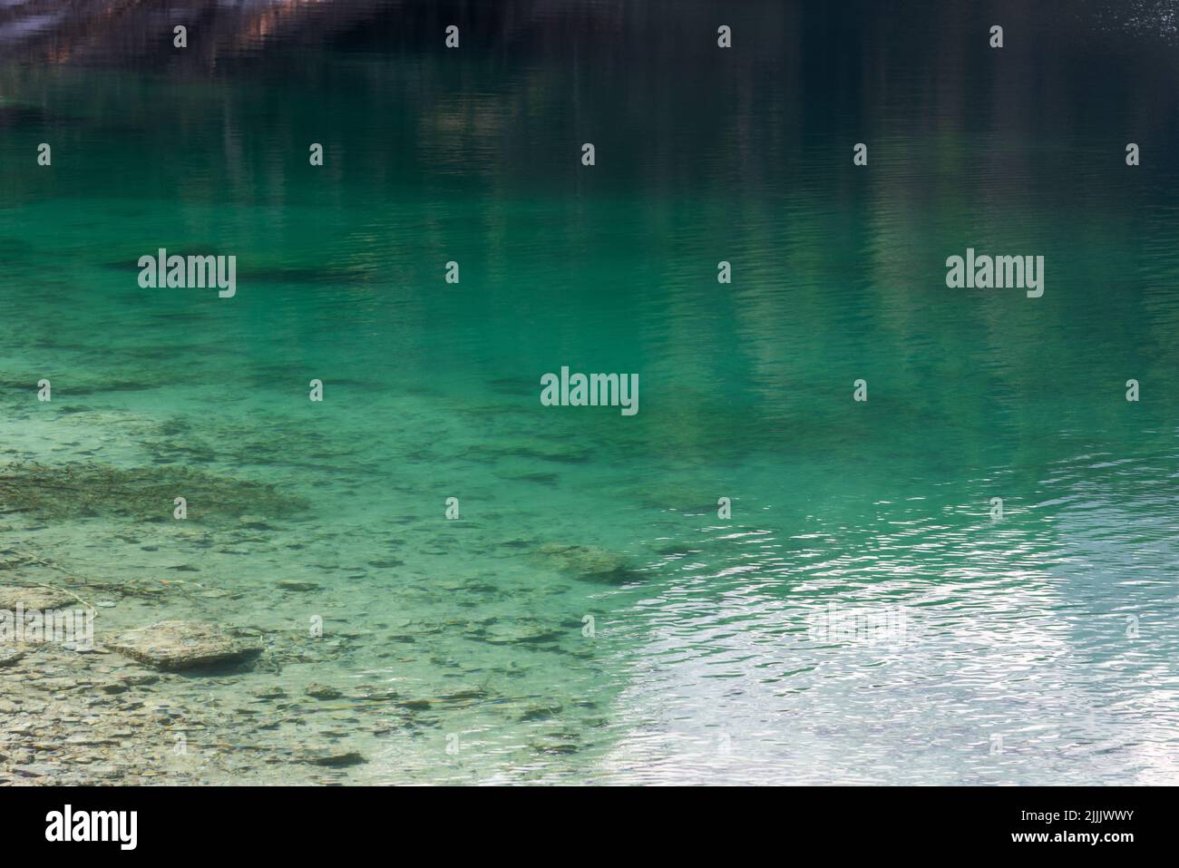 Transparentes, smaragdmineralisiertes Flachwasser in der Nähe des Tovel-Sees, Ville d'Anaunia, Trentino, Italien Stockfoto