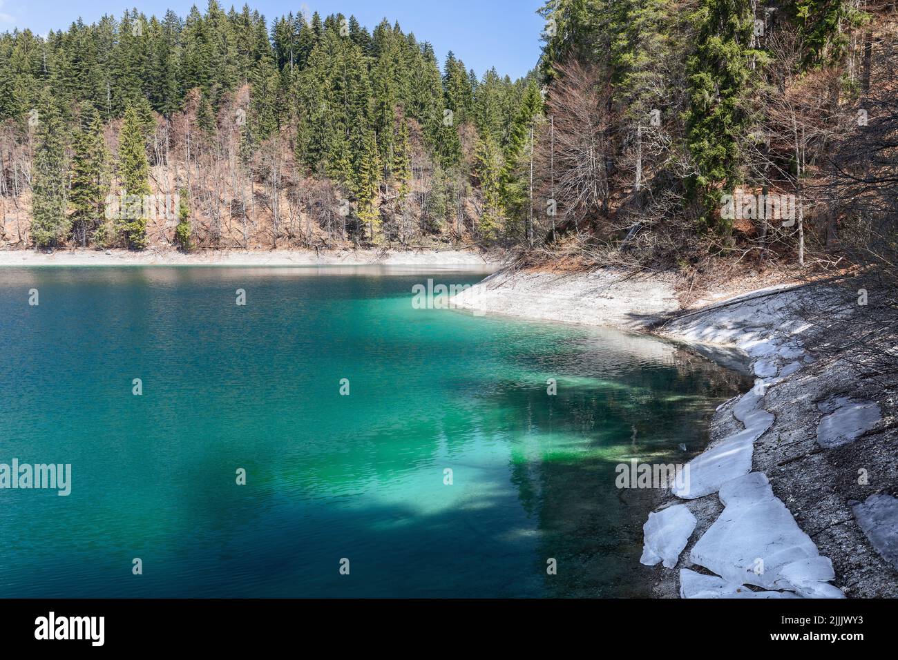 Der dichte Wald der alpinen Berge spiegelt sich in der smaragdgrünen Wasseroberfläche des Tovel-Sees, Ville d'Anaunia, Trentino, Italien Stockfoto