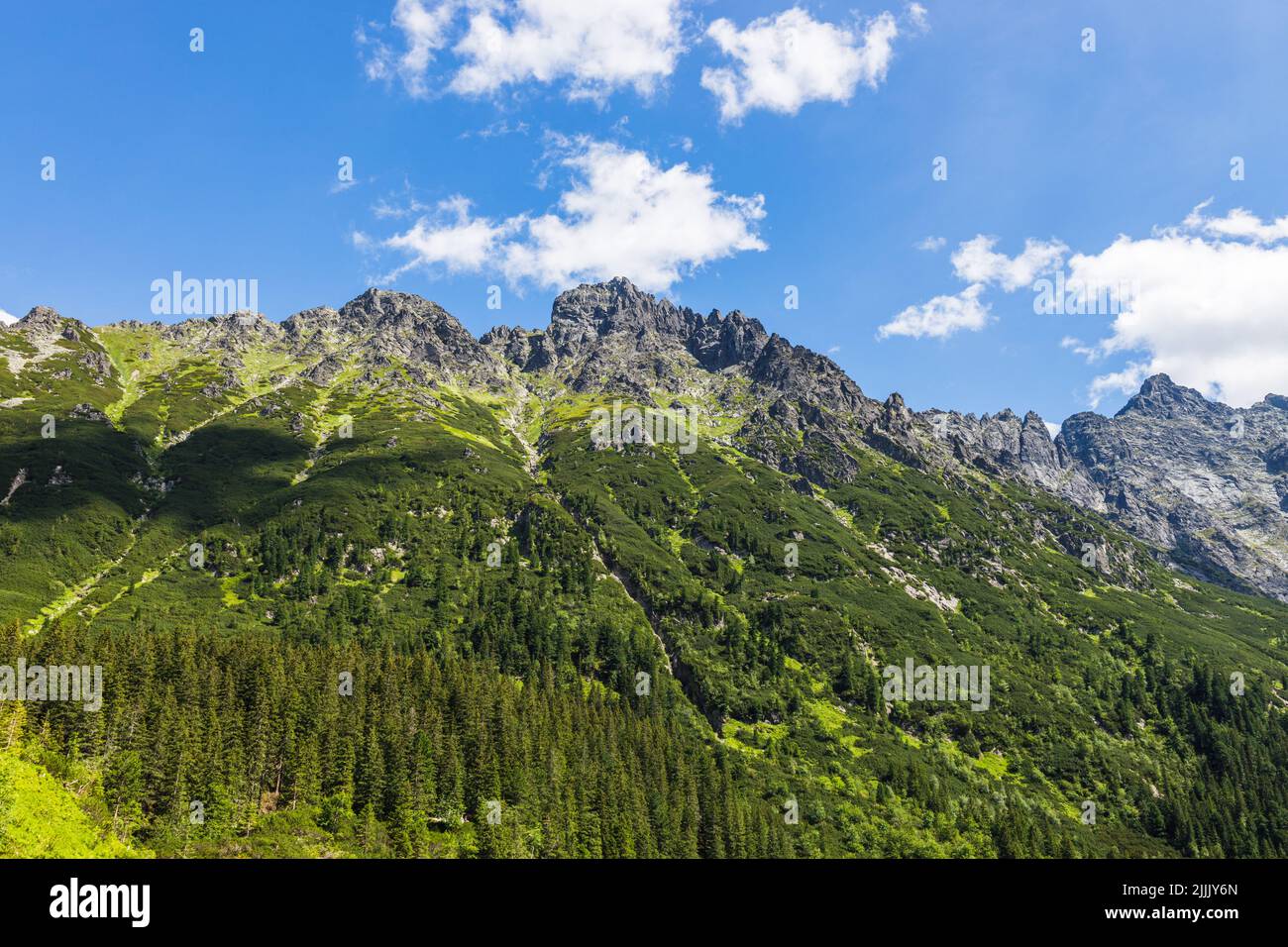 Schöne Aussicht auf die hohe Tatra in der Nähe von Zakopane Stockfoto