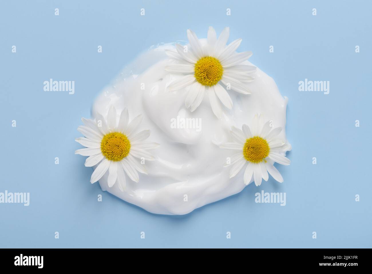 Weiße kosmetische Creme mit Kamillenblüten auf blauem Hintergrund Draufsicht Stockfoto