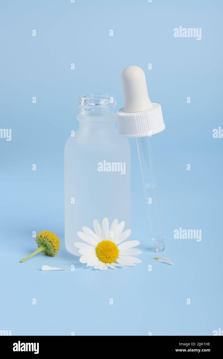 Hautpflegeserumtropfer und Flasche mit Kamillenblüten auf blauem Hintergrund Stockfoto