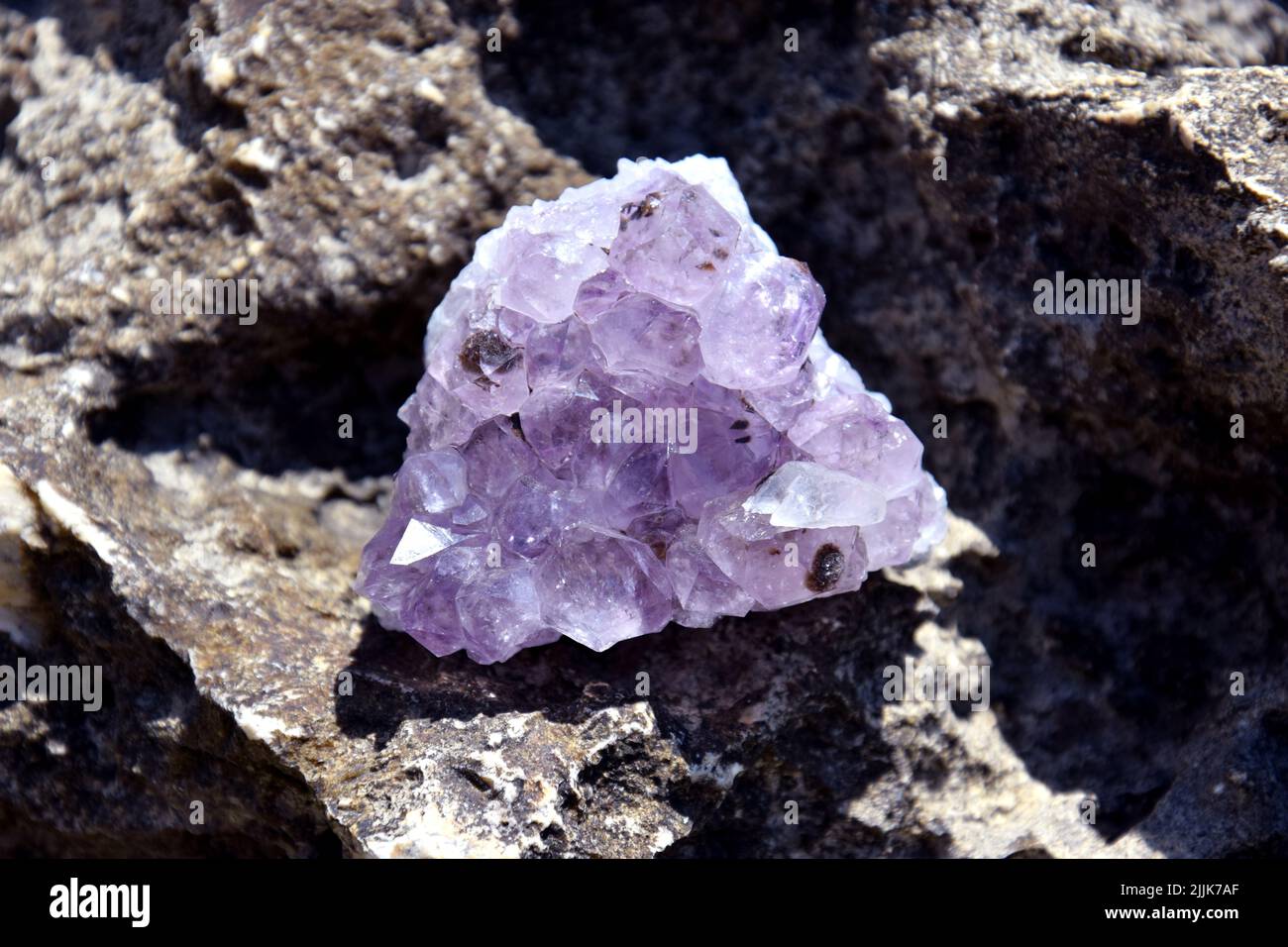 Ein schöner Amethyst drusen liegt auf einem Stein. Ein Spleiß aus violetten Kristallen aus semi-edlem Quarz. Stockfoto