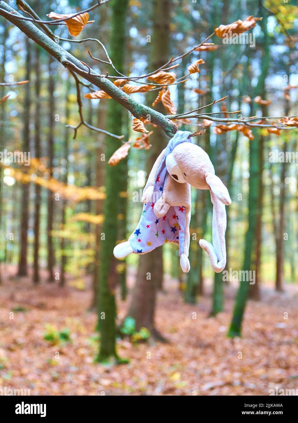 Eine vertikale Aufnahme eines verlassenen Spielzeugs auf einem Ast mit Herbstblättern Stockfoto
