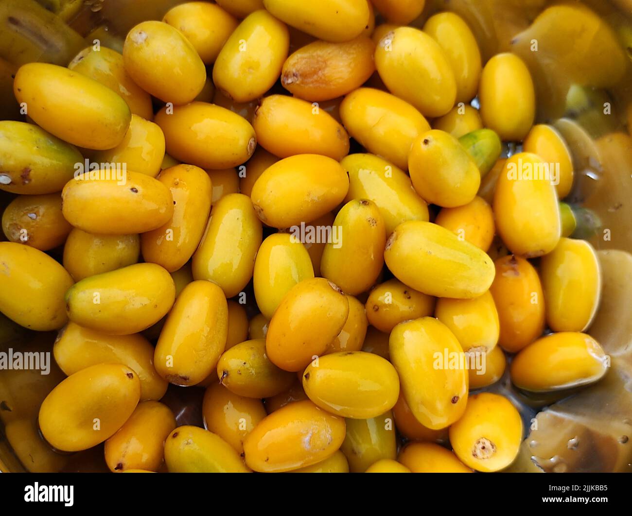 Ein Blick auf Manilkara hexandra gelbe Früchte in einer Stahlschale Stockfoto