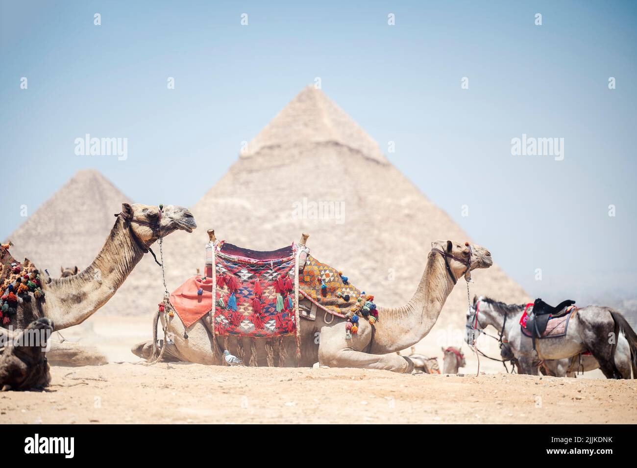 Eine Nahaufnahme der Pyramiden in Kairo, Ägypten Stockfoto