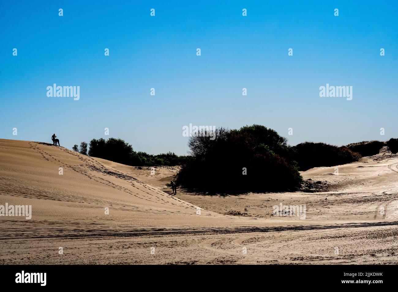 Weite Aufnahme von Sandbänken an einem sonnigen Tag ohne Menschen in Sicht Stockfoto