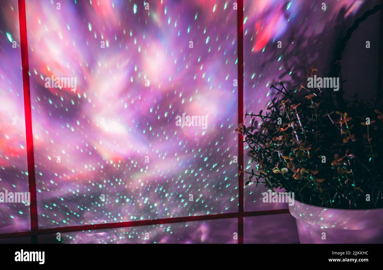 Grüne Zimmerpflanze in einem weißen Blumentopf in der Nähe von weißen Fliesen, auf die das vom Verein geleitete Laserlicht in einem roten Ton mit grünen Punkten projiziert wird. Stockfoto