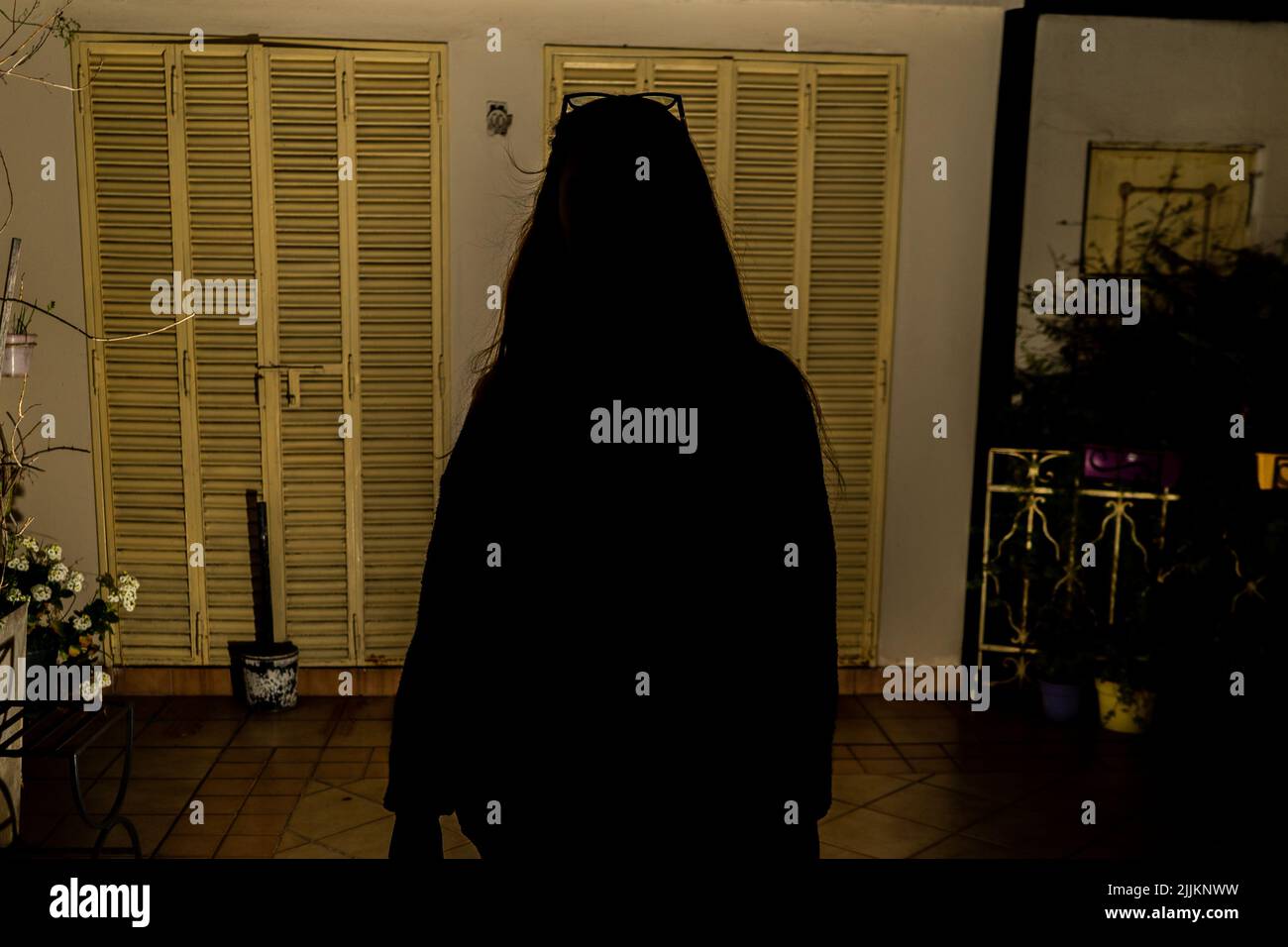 Frontale Aufnahme der Silhouette einer Person, die nachts steht Stockfoto