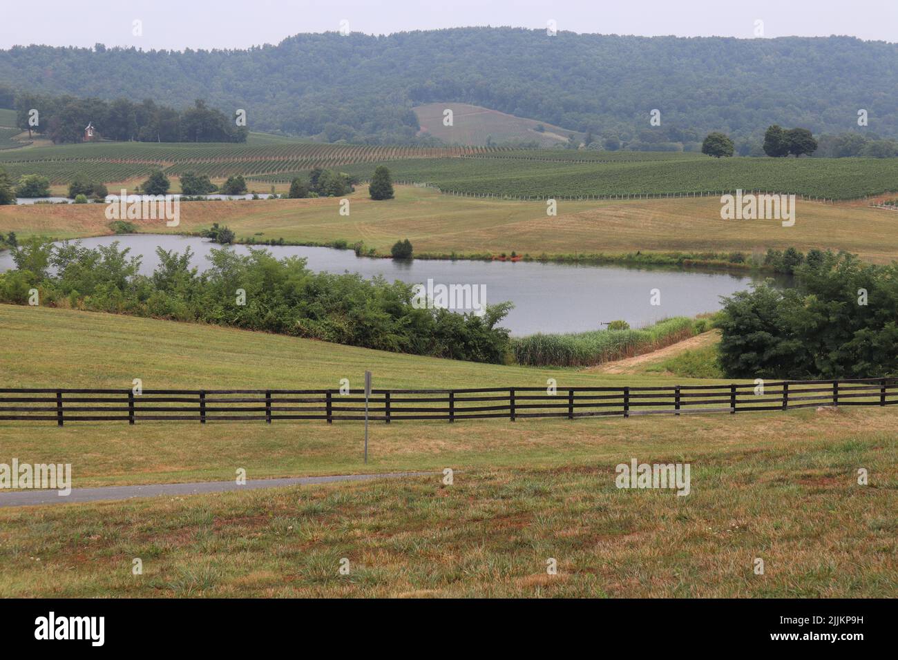 Eine landschaftlich reizvolle Landschaft mit Weinbergen in der Nähe von Monticello in Virginia, USA Stockfoto