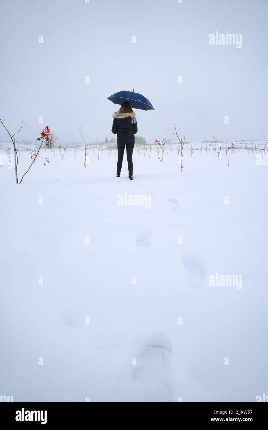 Eine vertikale Rückansicht eines Weibchens mit einem blauen Regenschirm auf einem verschneiten Feld Stockfoto