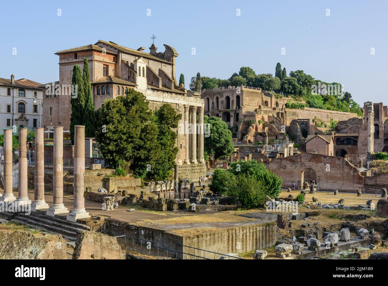 Rom, Forum Romanum, Tempel des Antoninus Pius und der Faustina // Rom, Forum Romanum, Tempio di Antonino e Faustina Stockfoto