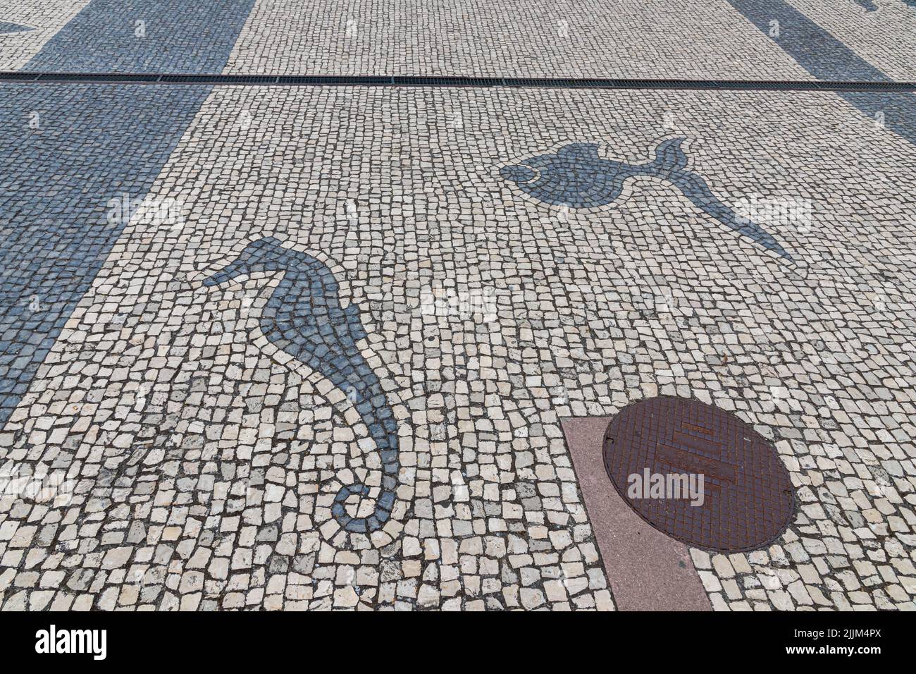 Costa Nova do Prado, Portugal. Ein Fisch und ein Seepferd in einem Mosaik im Boden der Straße Stockfoto