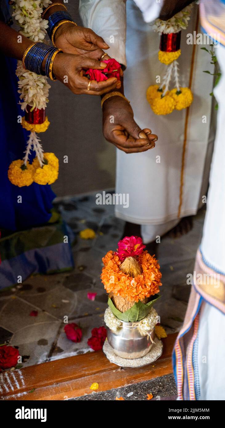 Eine vertikale Aufnahme von Händen, die Kupfer-Kalash mit Kokos- und Mangoblatt mit Blumenschmuck in Hindu-Puja vorbereiten Stockfoto